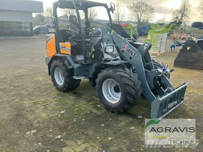 GiANT G3500 Pale gommate