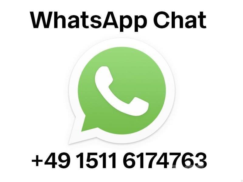 GiANT G1200 HD Mini Pale Gommate