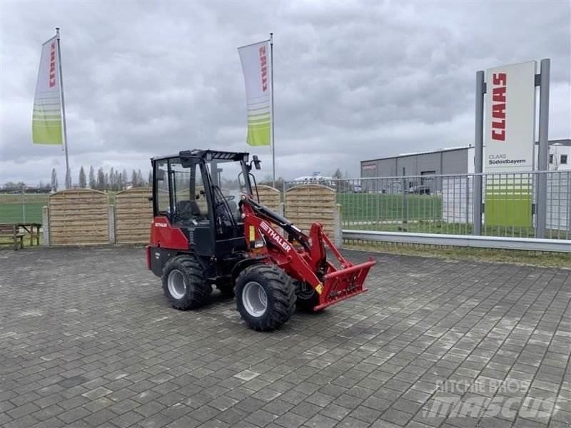 Thaler 2438 S Mini Pale Gommate
