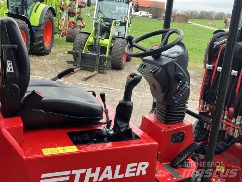Thaler 2838 T Mini Pale Gommate