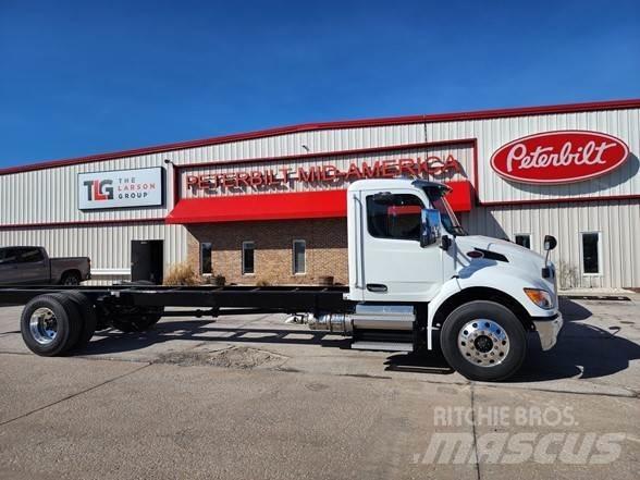 Peterbilt 536 Autocabinati