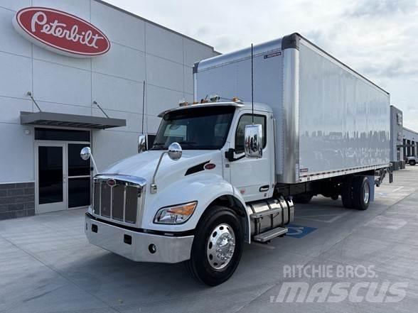 Peterbilt 536 Camion cassonati