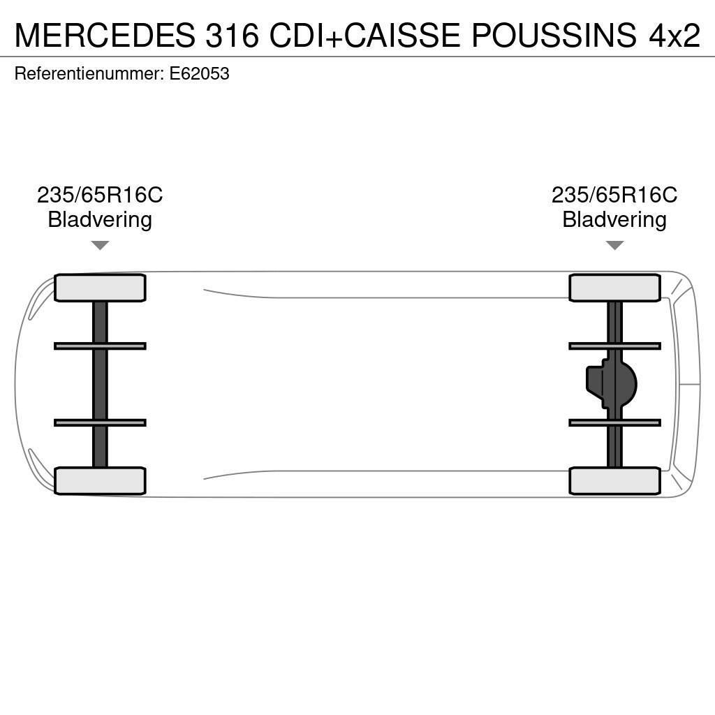 Mercedes-Benz 316 CDI+CAISSE POUSSINS Van a temperatura controllata