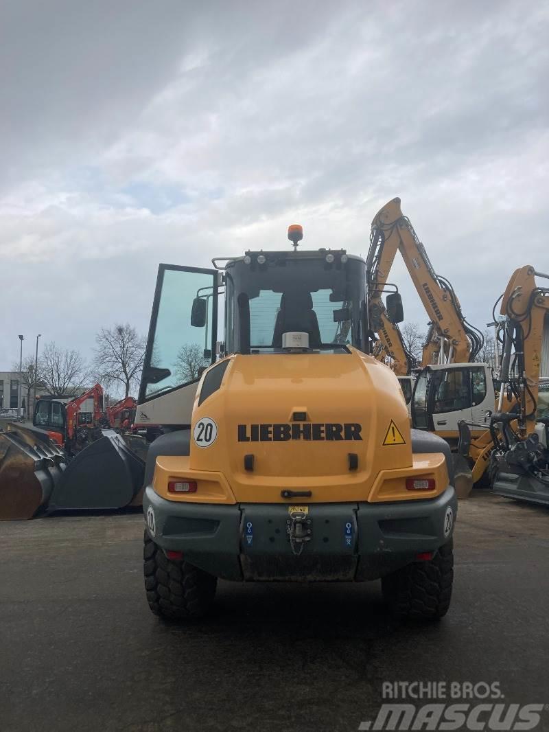 Liebherr L514 Stereo Pale gommate