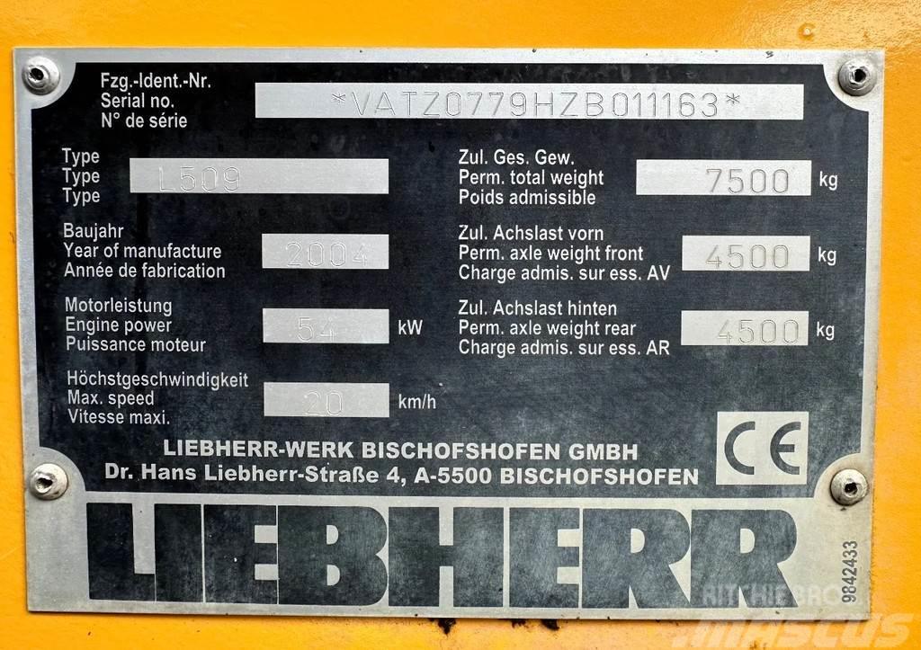 Liebherr L509 Stereo Pale gommate