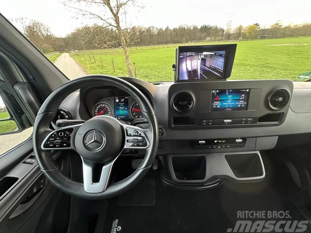 Mercedes-Benz Sprinter AMG 2-paards paardenvrachtwagen B-rijbewi Camion per trasporto animali