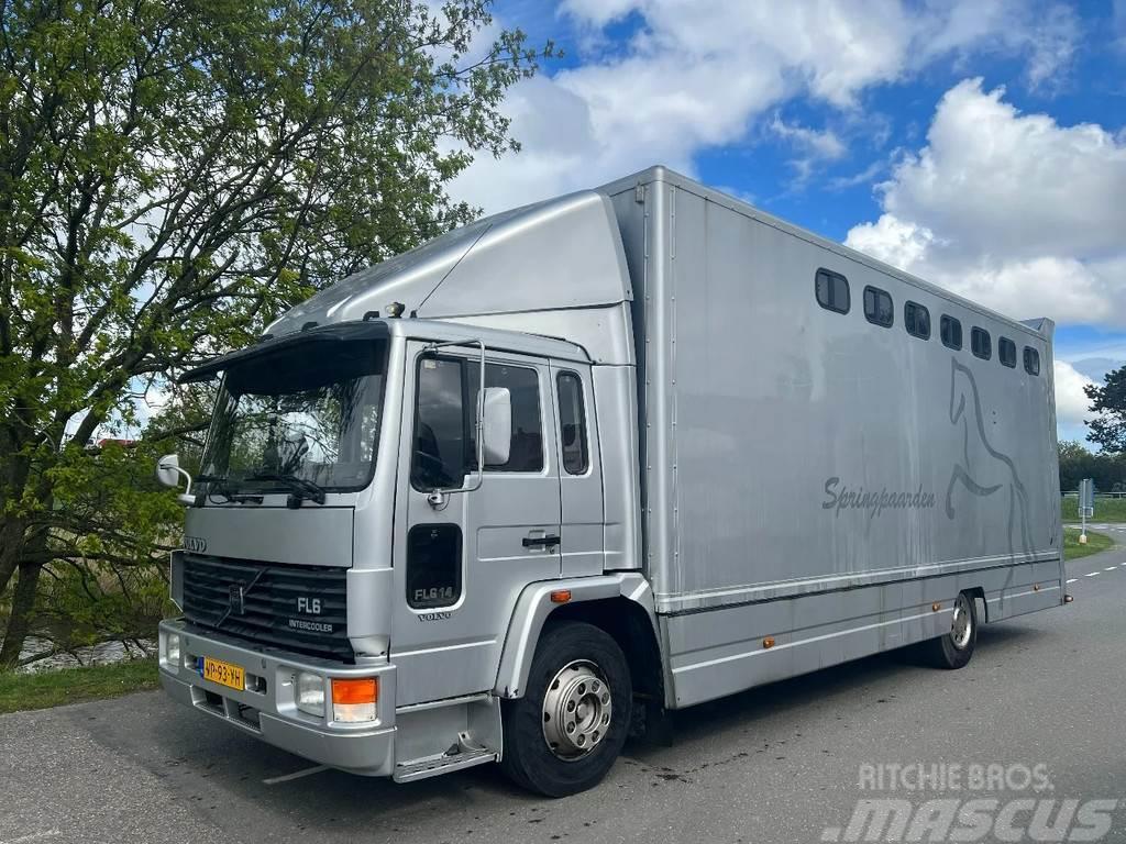 Volvo FL 614 12T 5 Paarden + Zadelkamer Camion per trasporto animali