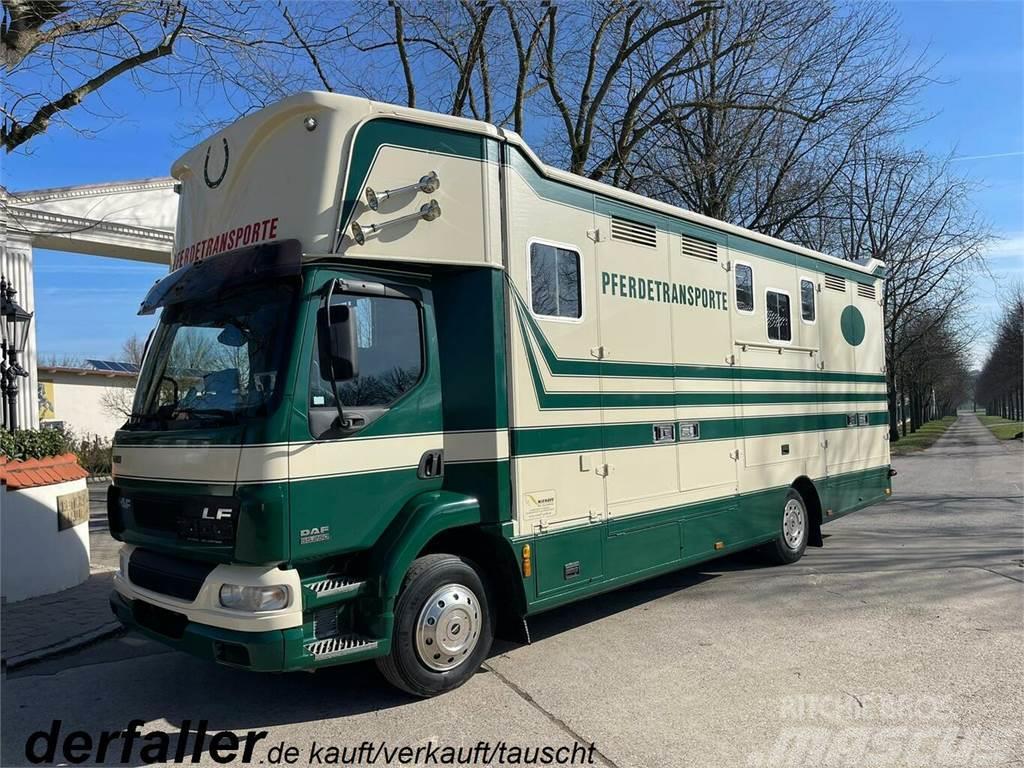 DAF LF 55250 Niehoffaufbau 6 Pferde Camion per trasporto animali