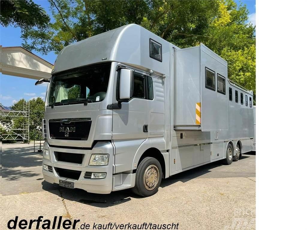 MAN TGX 26400 Gimmel 5-6 Pferde + Kiste, Popout Camion per trasporto animali