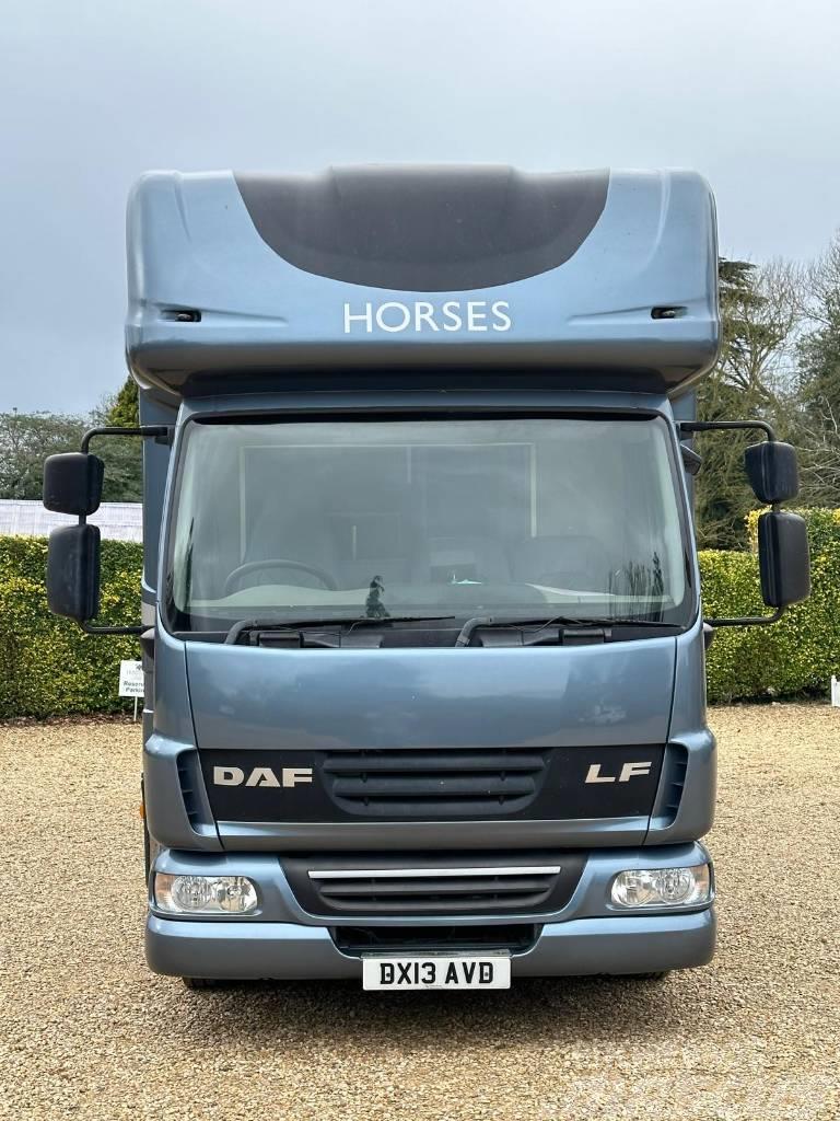 DAF LF Horsebox (2020 Build) Camion per trasporto animali