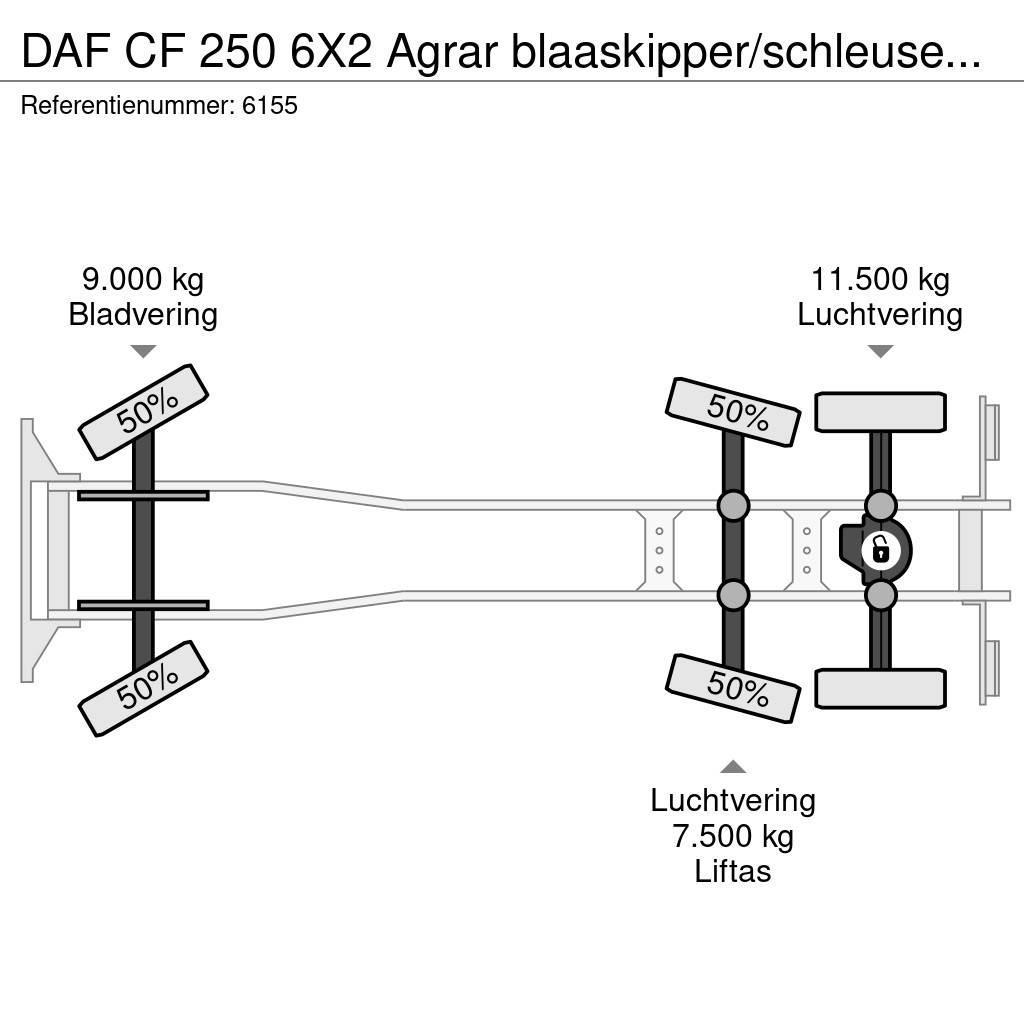 DAF CF 250 6X2 Agrar blaaskipper/schleuse Blower Manua Camion ribaltabili