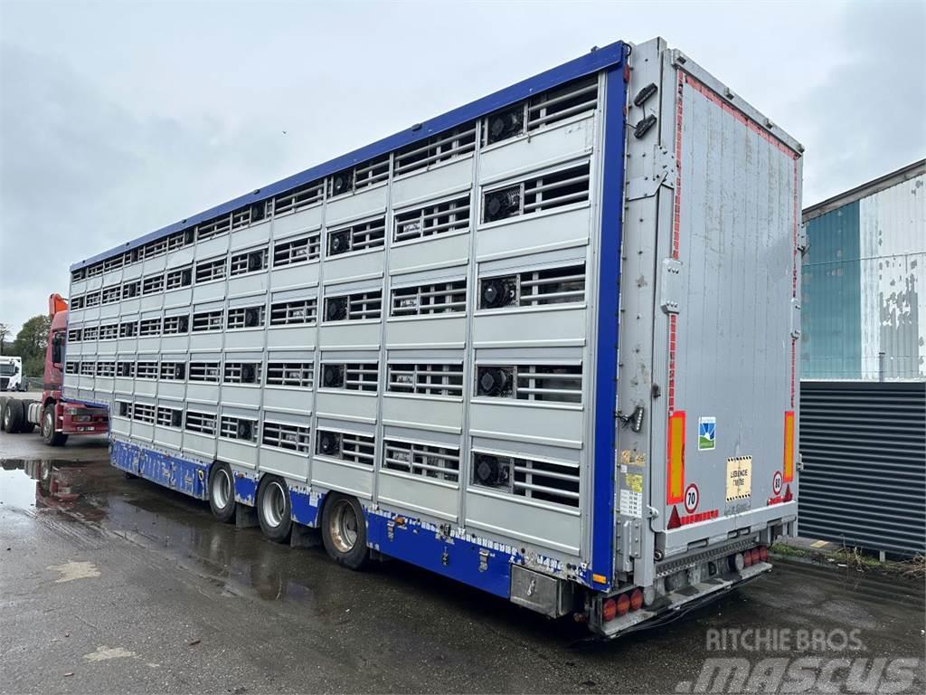 Pezzaioli 5-stock Grise trailer 5-stock Semirimorchio per il trasporto di animali
