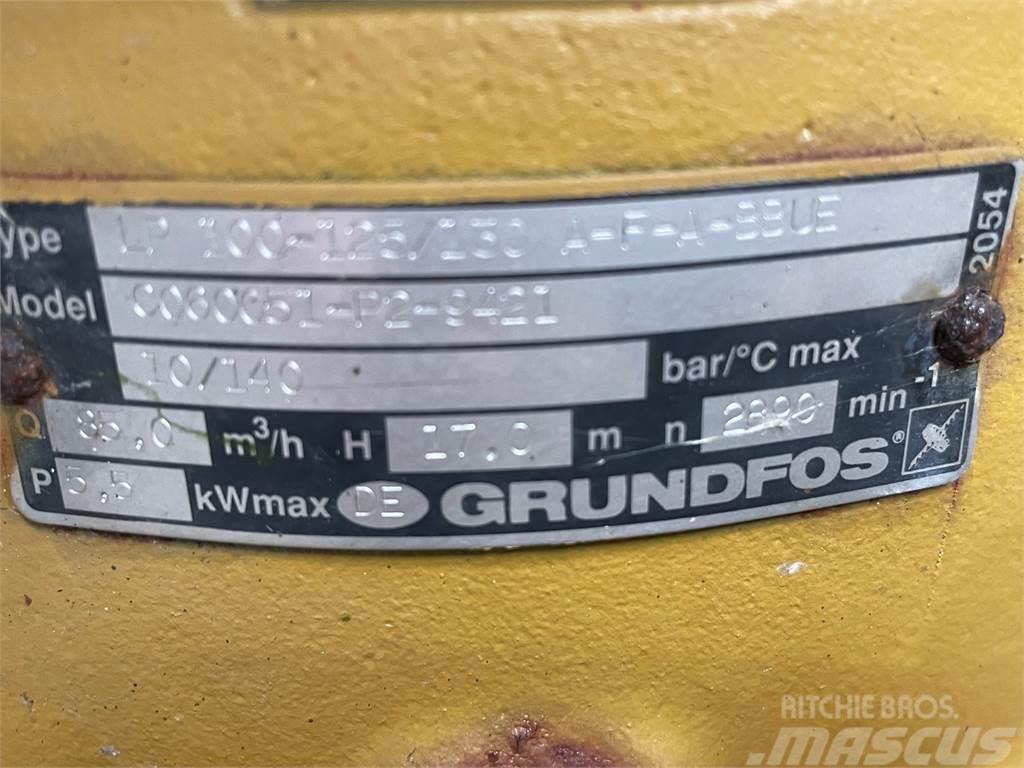 Grundfos type LP 100-125/130 A-F-A-BBUE pumpe Pompa idraulica