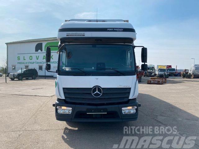 Mercedes-Benz ATEGO 1223 with plane EURO 6 VIN 710 Motrici centinate