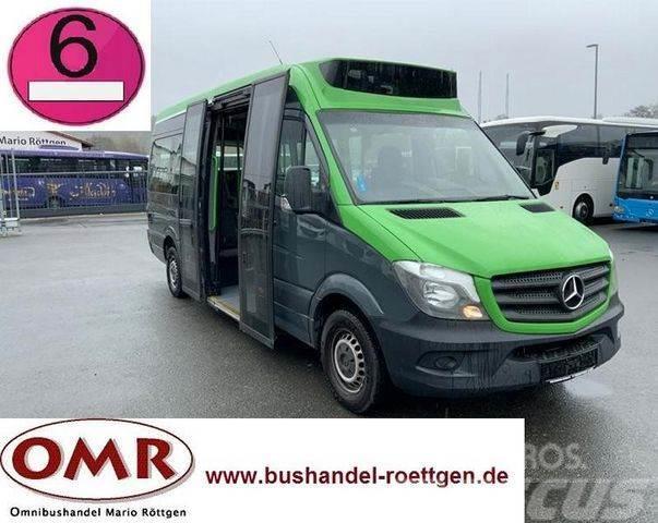 Mercedes-Benz Sprinter 314 Mobility / 316 / 514 / 516 / Rampe Mini bus
