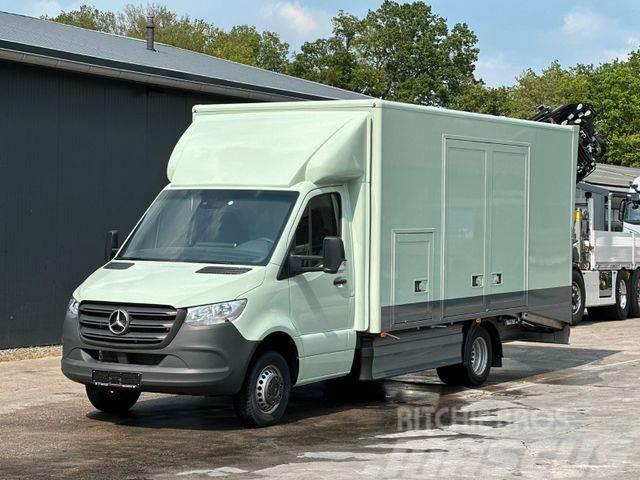 Mercedes-Benz Sprinter 519 CDI CAZOO Sportwagentransporter Trasportatore per veicoli