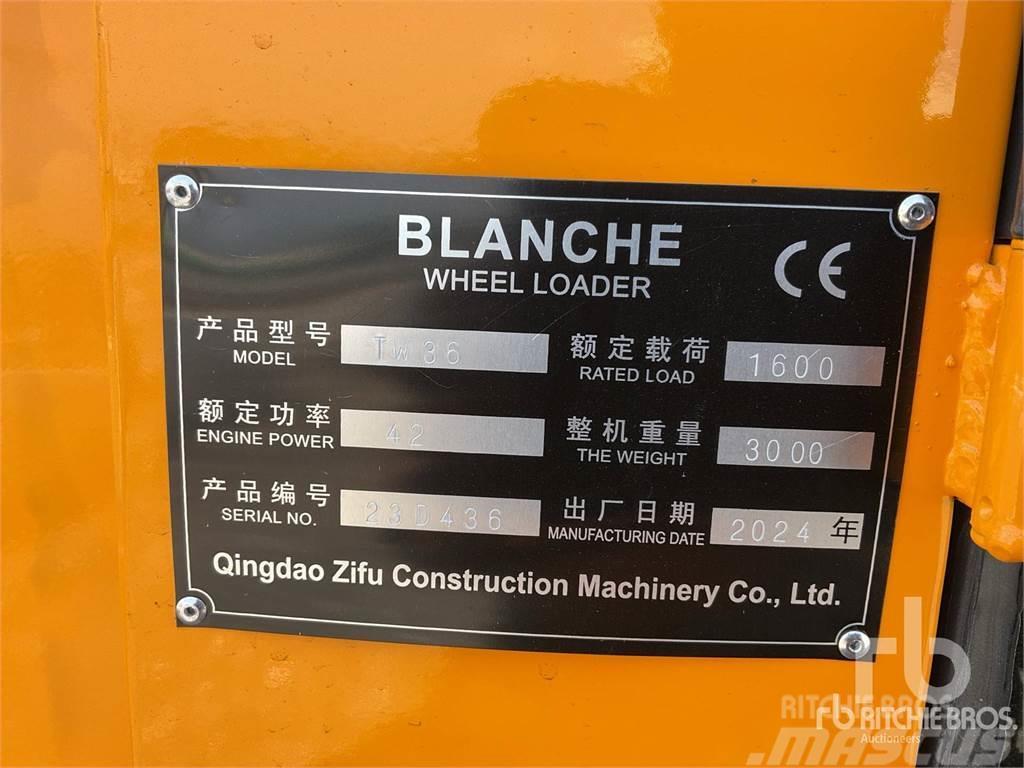  BLANCHE TW36 Pale gommate