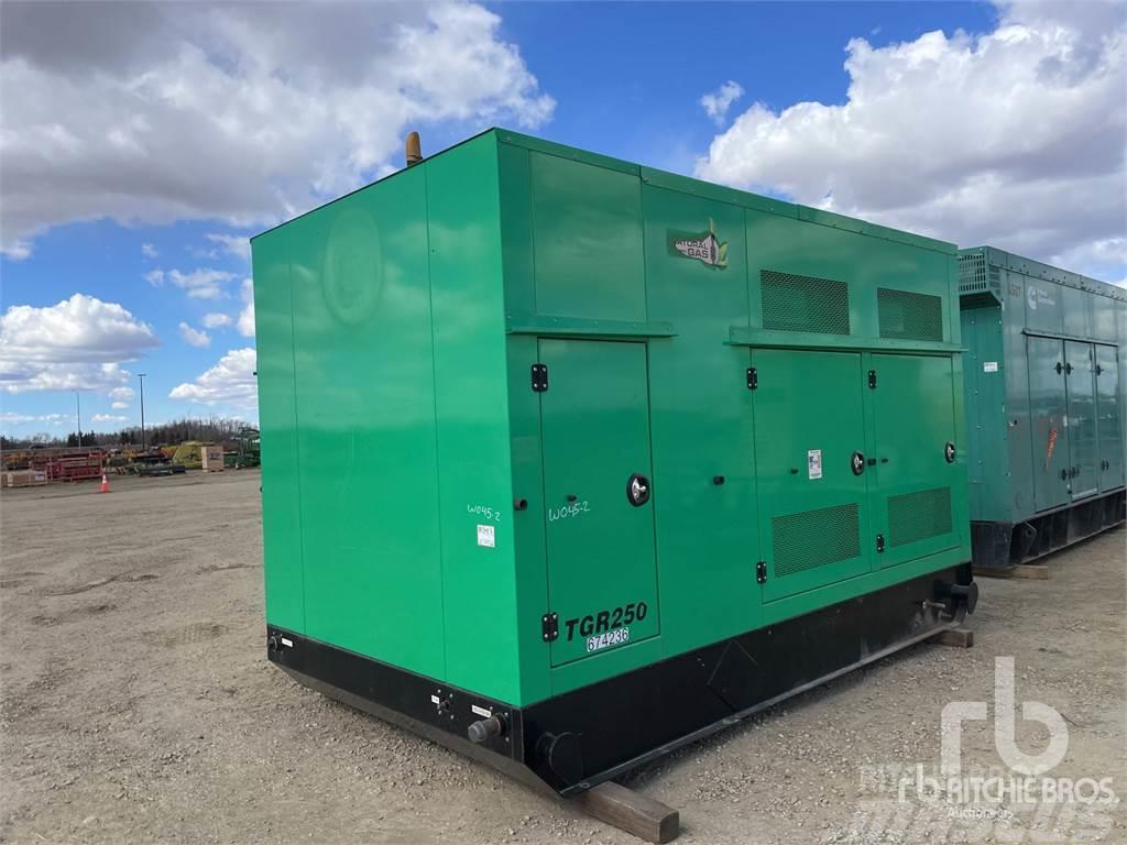 Taylor HC1434D Generatori diesel